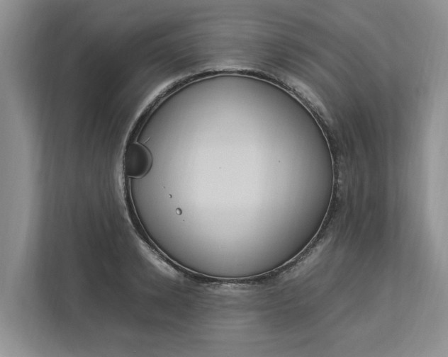 X0000112950942200909141405