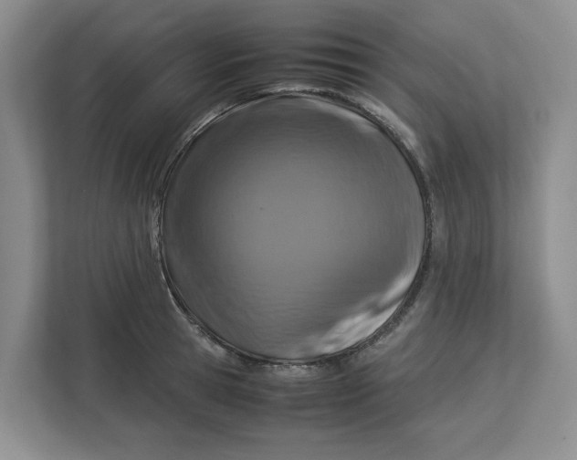 X0000112950945200909141405