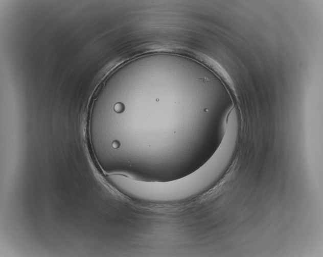 X0000112950946200909141405