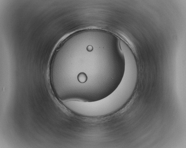 X0000112950948200909141405