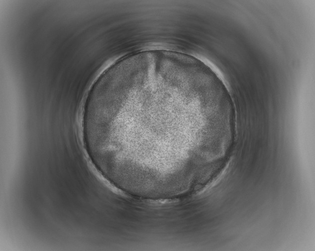 X0000112950949200909141405