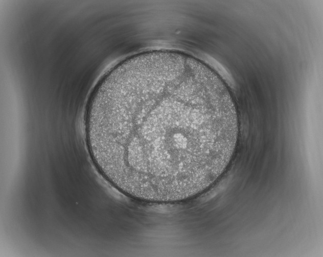 X0000112950950200909141405