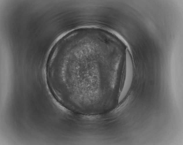 X0000112950951200909141405