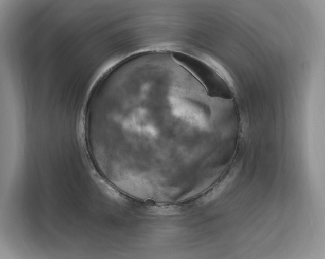 X0000112950952200909141405