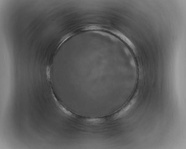 X0000112950953200909141405