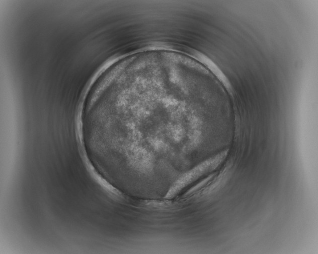 X0000112950955200909141405