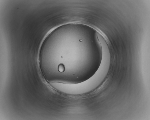 X0000112950956200909141405