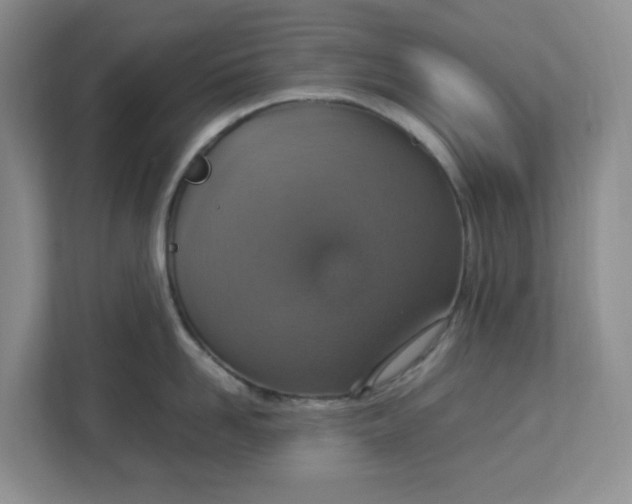 X0000112950958200909141405