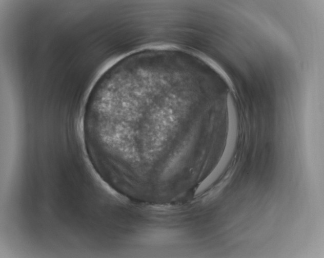 X0000112950959200909141405