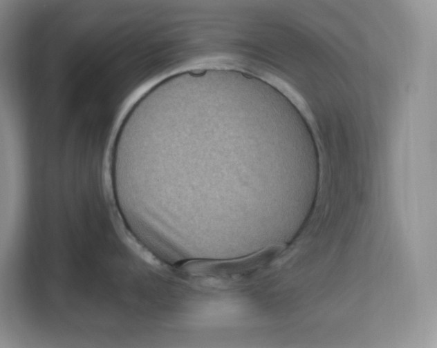 X0000112950960200909141405