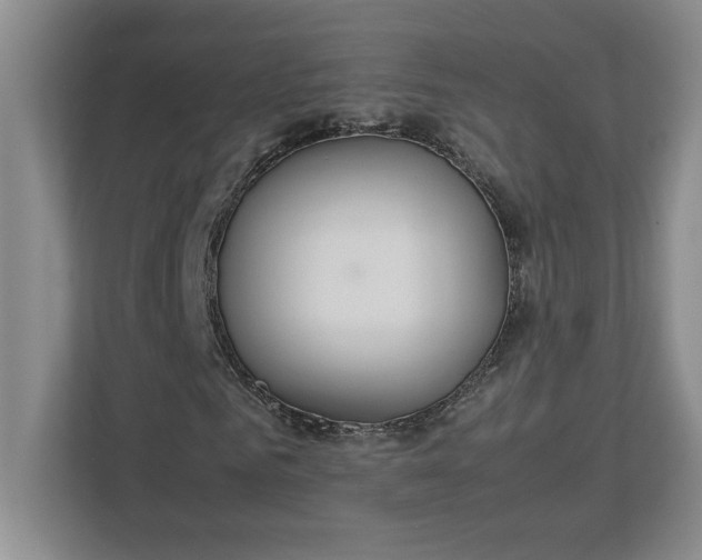 X0000112950961200909141404