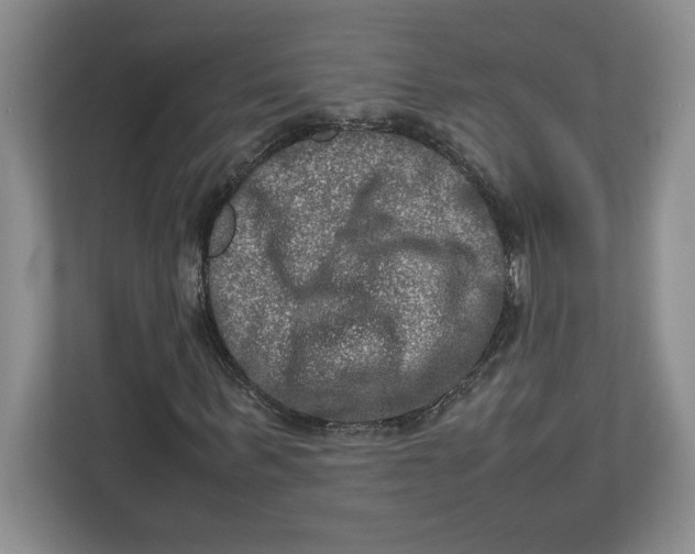 X0000112950963200909141404