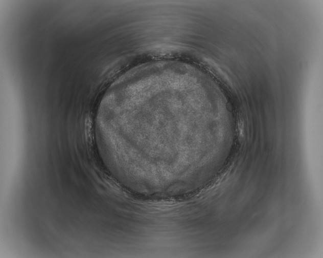 X0000112950964200909141404