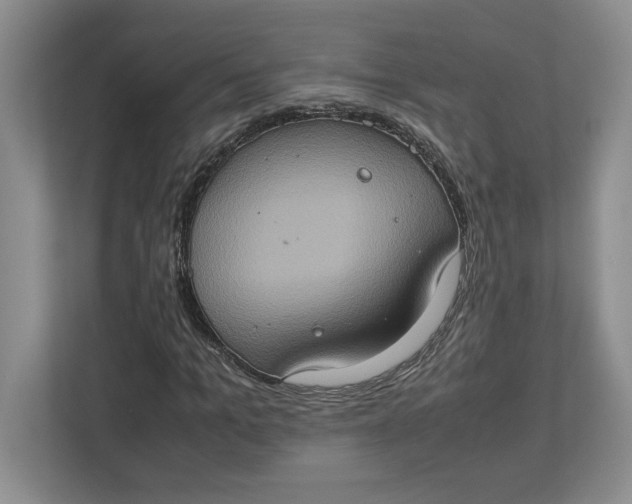 X0000112950965200909141404