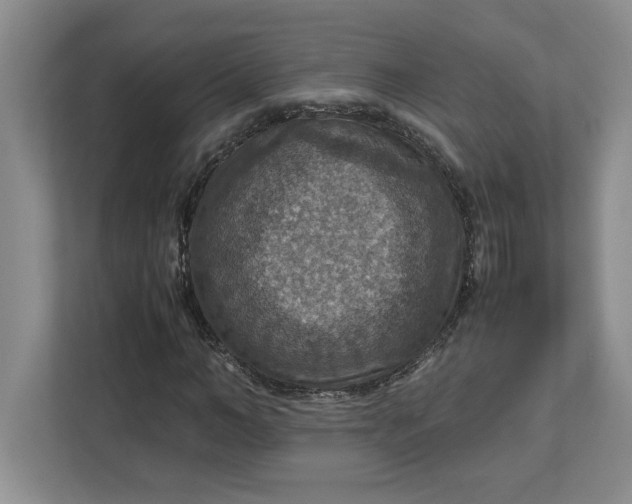 X0000112950966200909141404