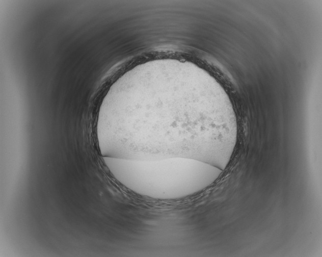 X0000112950968200909141404