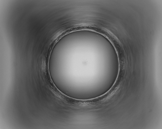 X0000112950969200909141404