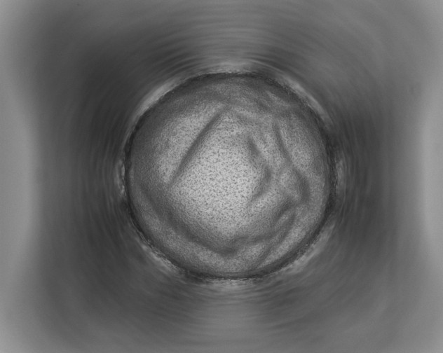 X0000112950970200909141404