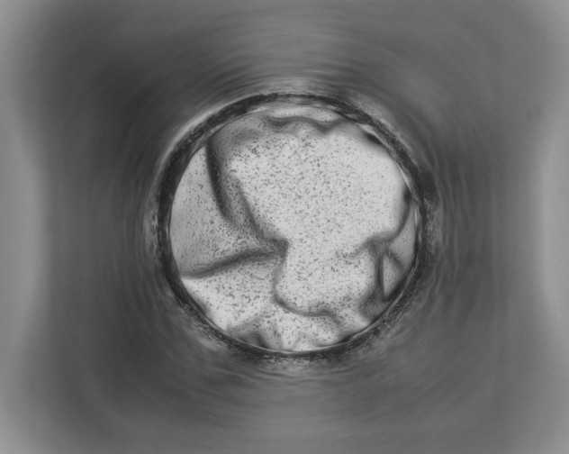 X0000112950971200909141404