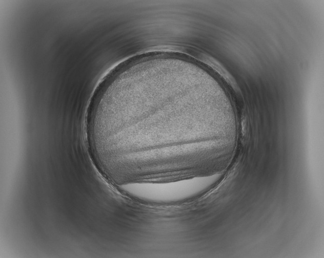 X0000112950972200909141404