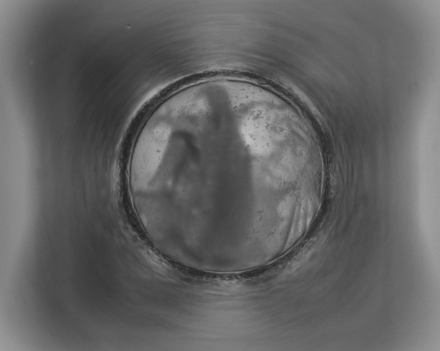 X0000112950975200909141404