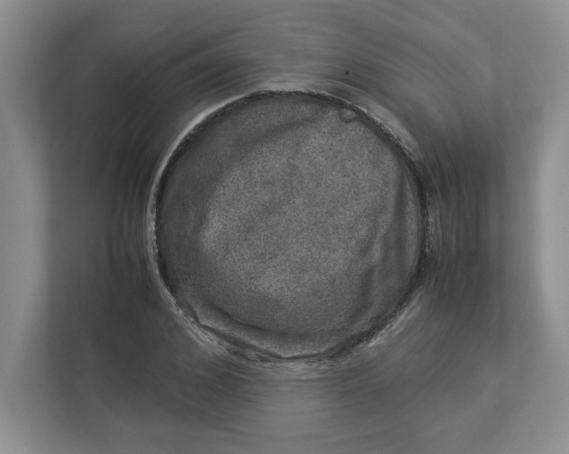 X0000112950976200909141404