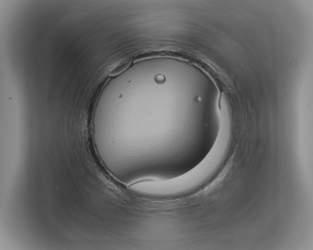 X0000112950977200909141404