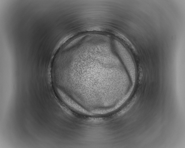 X0000112950978200909141404