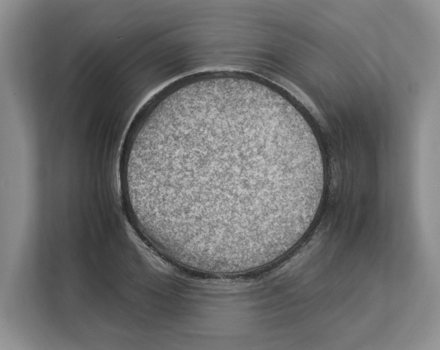 X0000112950980200909141404