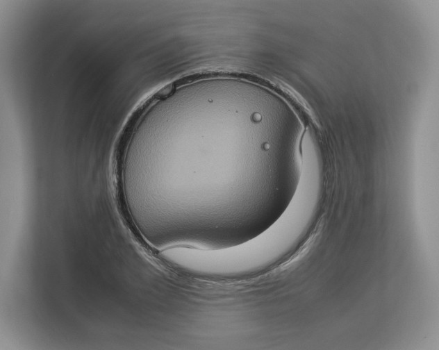 X0000112950981200909141404