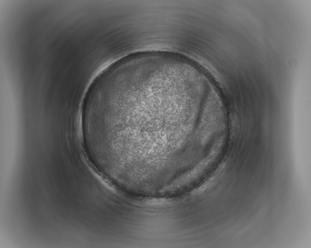 X0000112950982200909141404