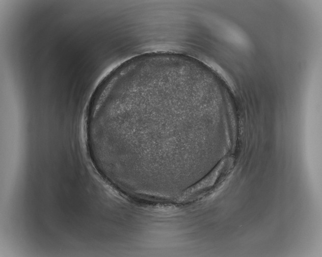 X0000112950983200909141404