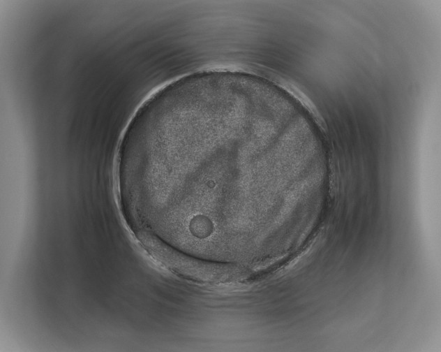 X0000112950984200909141404