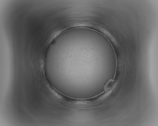 X0000112950985200909141404