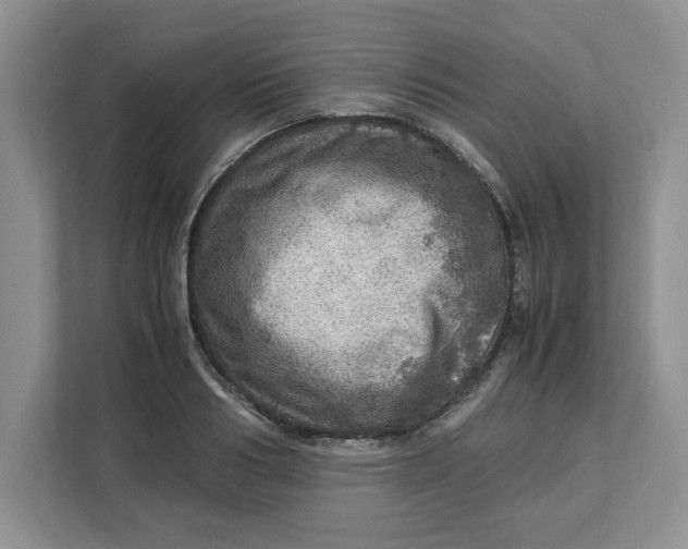 X0000112950986200909141404