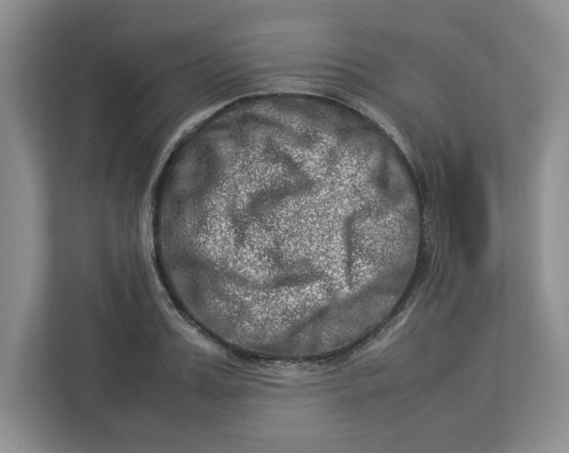 X0000112950987200909141404