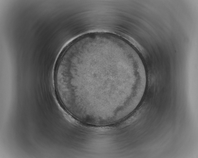 X0000112950988200909141404