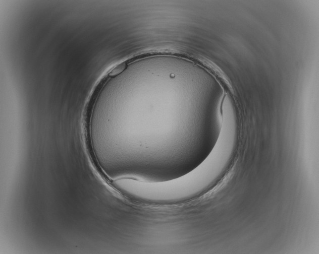 X0000112950989200909141404