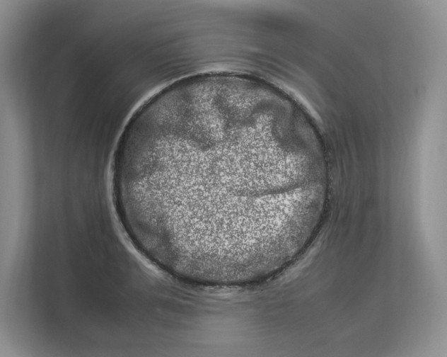 X0000112950991200909141404