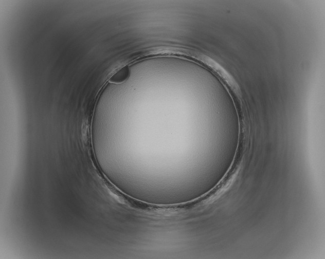 X0000112950993200909141404