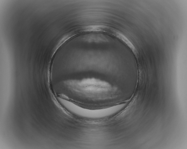 X0000112950994200909141404