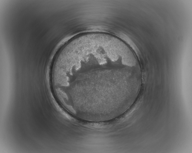 X0000112950995200909141404