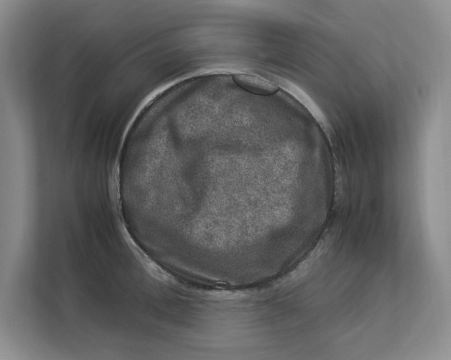 X0000112950996200909141404