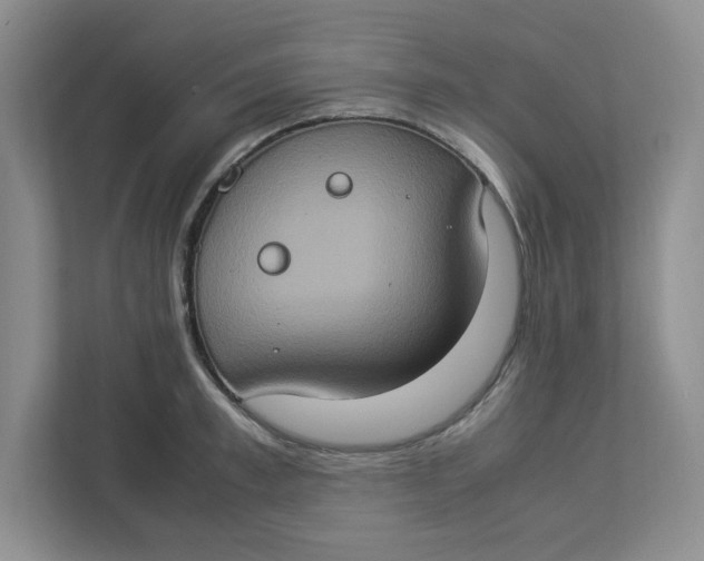 X0000112950997200909141404