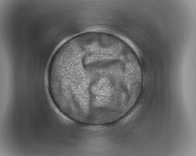 X0000112950999200909141404