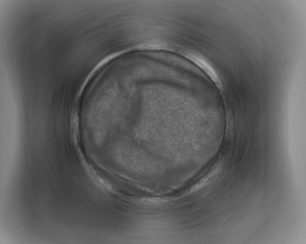 X0000112951000200909141404