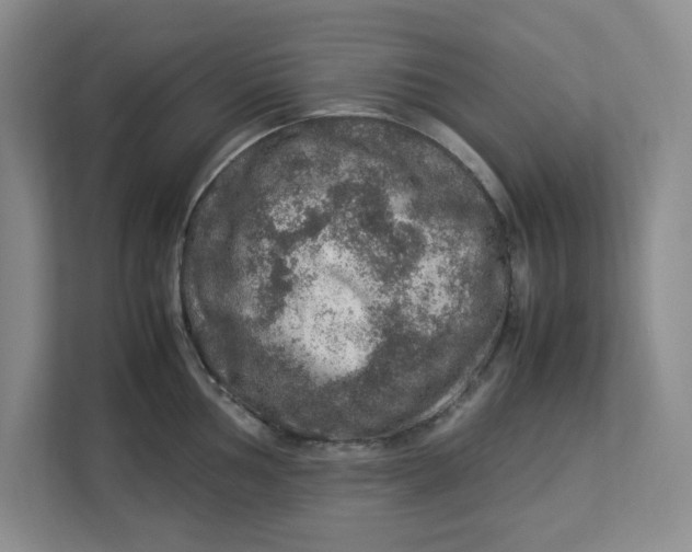 X0000112951002200909141404