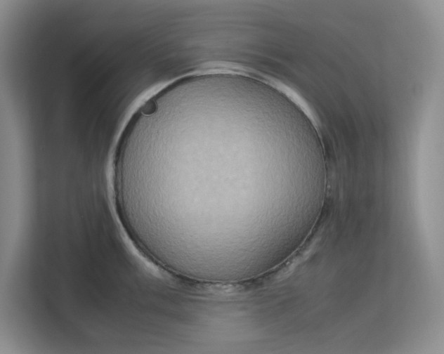 X0000112951003200909141404