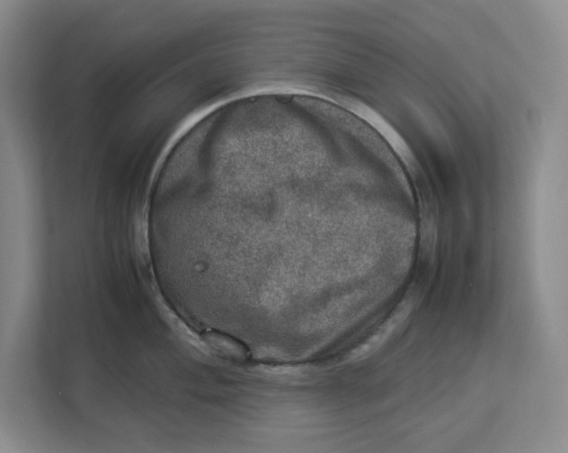 X0000112951004200909141404