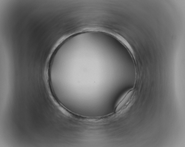 X0000112951005200909141404